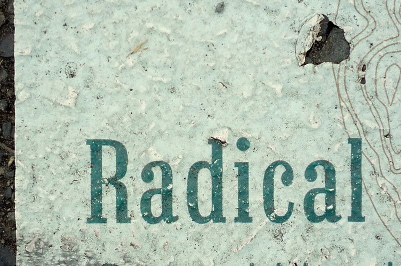 What is radical Islam?